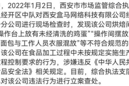 盒马爆料新闻,揭秘生鲜电商行业新动态